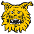 Ilves 1