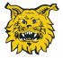 Ilves 1