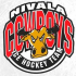 Nivala Cowboys U15