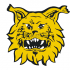 Ilves Keltainen