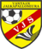 VJS1