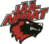 Hyvinkään Jää-Ahmat U9-U8, Red