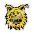 Ilves