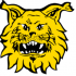 Ilves