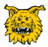 Ilves Keltainen