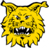 Ilves Keltainen