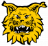 Ilves Pittsburgh