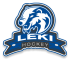 Leki Hockey