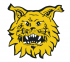 Ilves Detroit