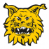 Ilves Keltainen