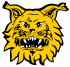 Harjoitusottelut Ilves U 14