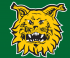 Ilves F09 Loppiaisturnaus