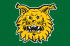 Ilves U11 Spring Cup