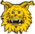 Ilves AAA+