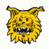 Ilves OP-turnaus Dn-03