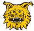 Ilves Cup 2023