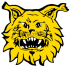 Ilves