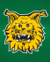 Ilves Florida 