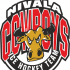 Nivala Cowboys