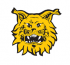 Ilves