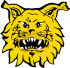 Ilves 