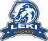 LeKi U15 - Loppiaisturnaus (AAA&AA)