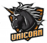 Ringette Unicorns