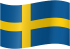 SWE Ringette