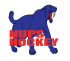 NuPS Hockey