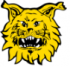 Ilves Yj