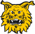 Ilves City