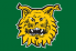 Ilves keltainen