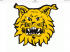 Ilves 1