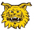 Ilves