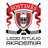 International ice hockey tournament SOSTINE HOCKEY CUP U13