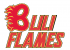 Calgary BuliFlames