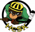 HcSK