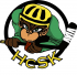 HCsK