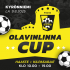 Olavinlinna Cup 2025 P2014