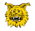 Ilves 1