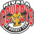 Nivala Cowboys U10 